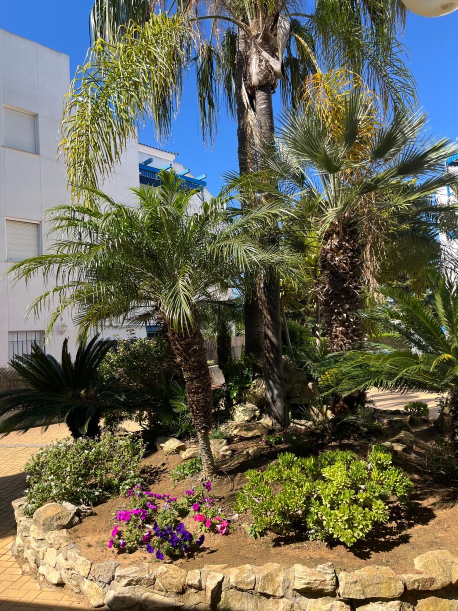 Apartamento En Costa Ballena, Urb. Playa Ballena Cádiz Exterior foto